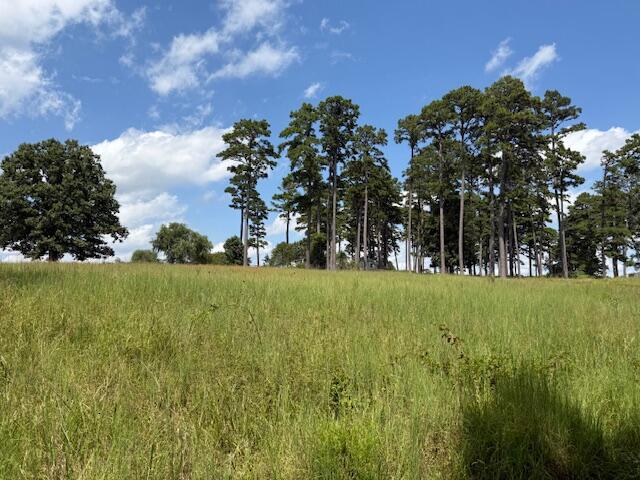 Photo 18 - Farm for sale – 2285  County Road 437-B   Mountain View, MO