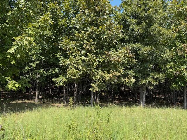 Photo 36 - Farm for sale – 2285  County Road 437-B   Mountain View, MO