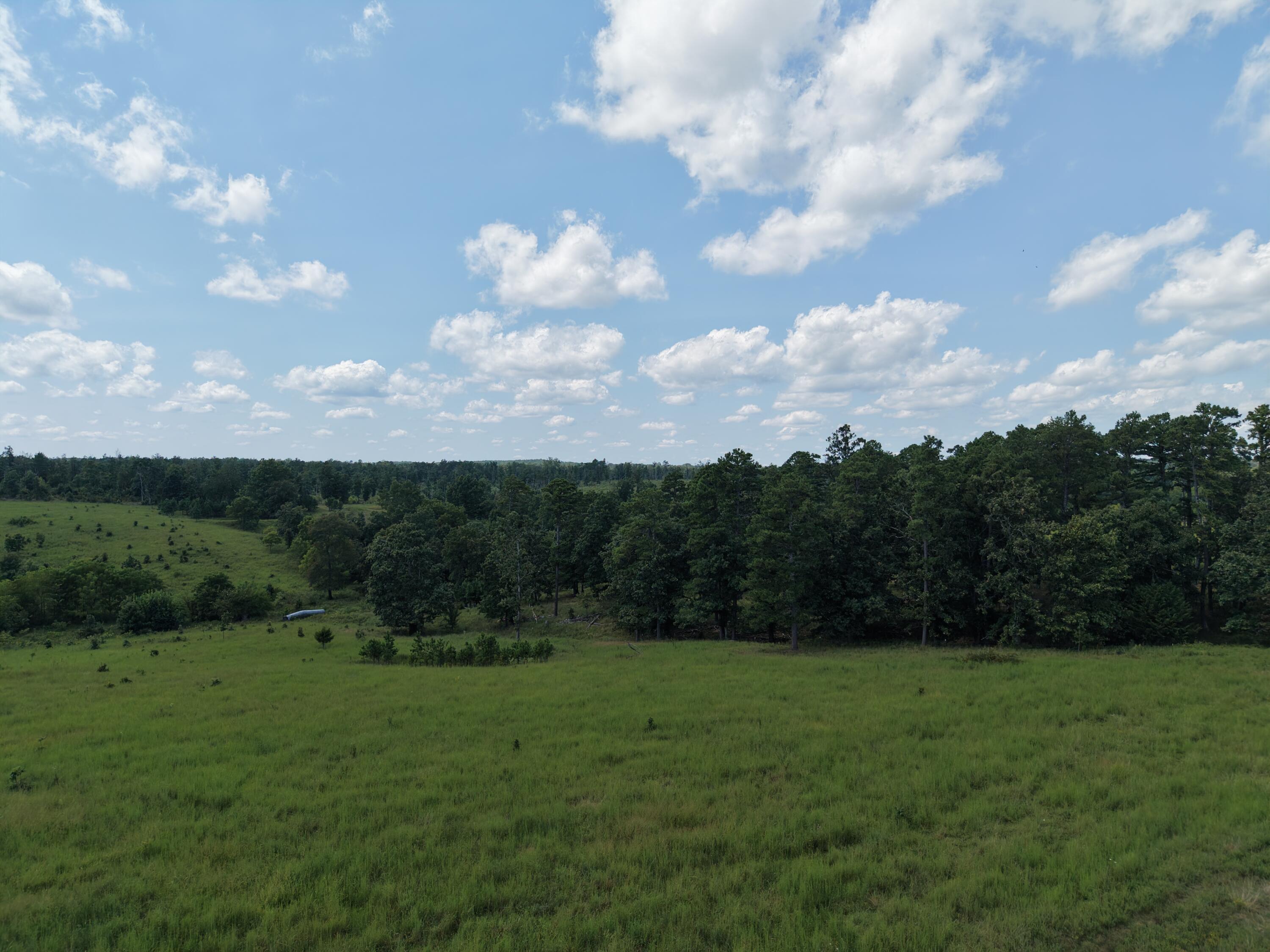 Photo 8 - Farm for sale – 2285  County Road 437-B   Mountain View, MO