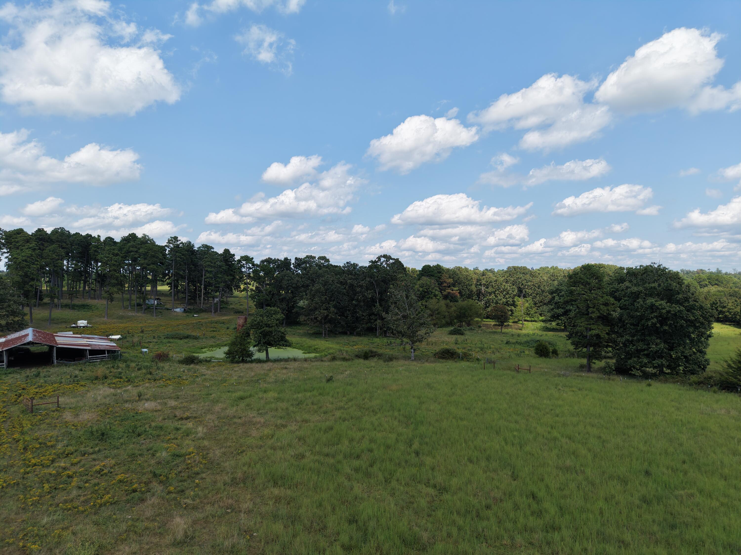 Photo 43 - Farm for sale – 2285  County Road 437-B   Mountain View, MO
