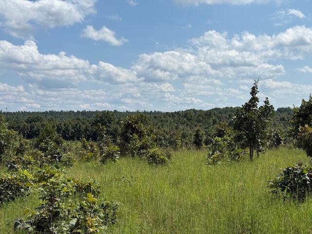 Photo 33 - Farm for sale – 2285  County Road 437-B   Mountain View, MO