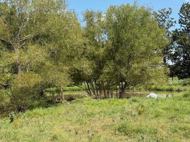 Photo 23 - Farm for sale – 2285  County Road 437-B   Mountain View, MO
