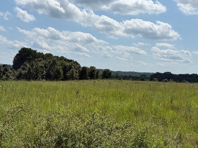 Photo 2 - Farm for sale – 2285  County Road 437-B   Mountain View, MO