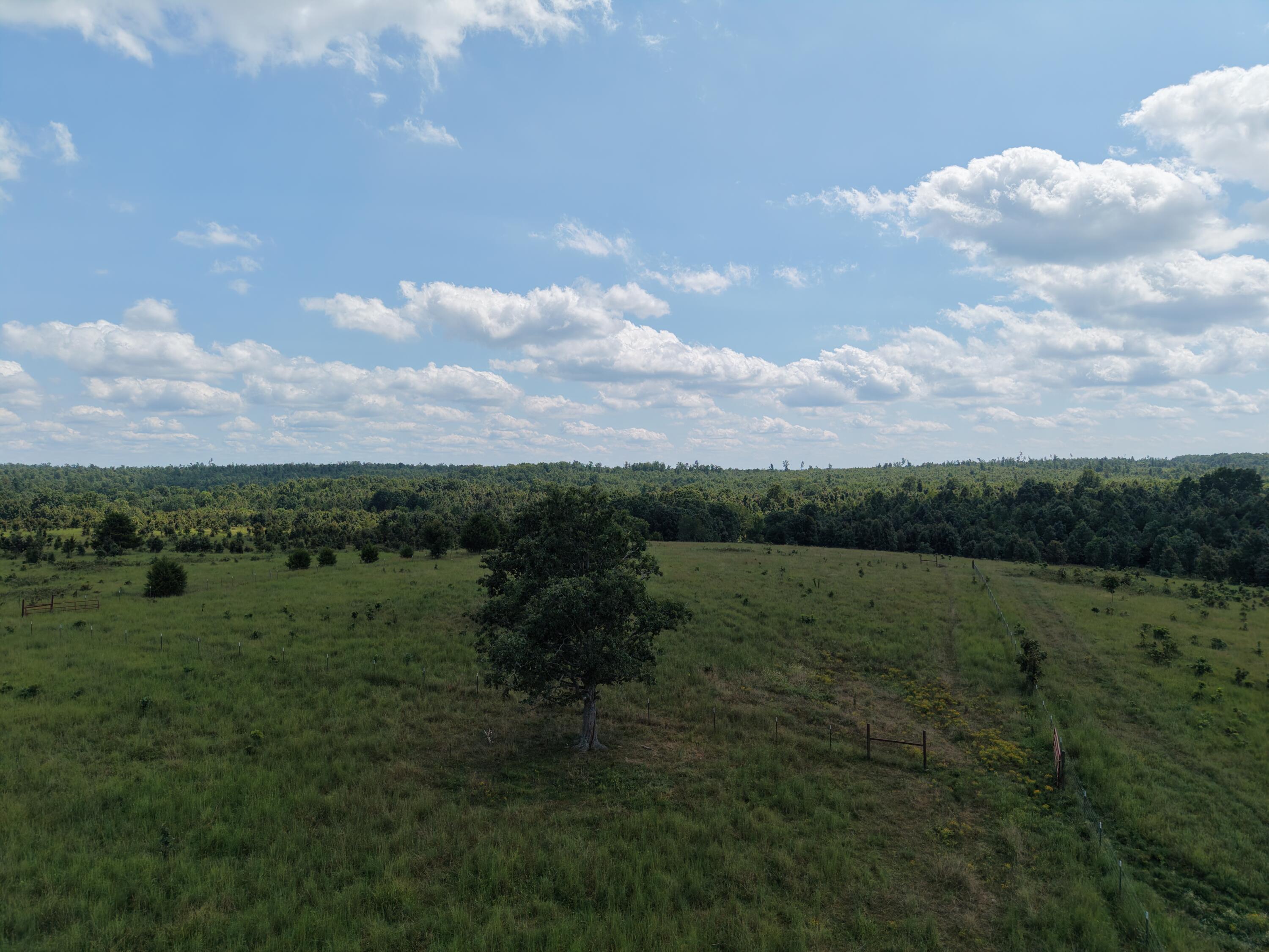 Photo 44 - Farm for sale – 2285  County Road 437-B   Mountain View, MO
