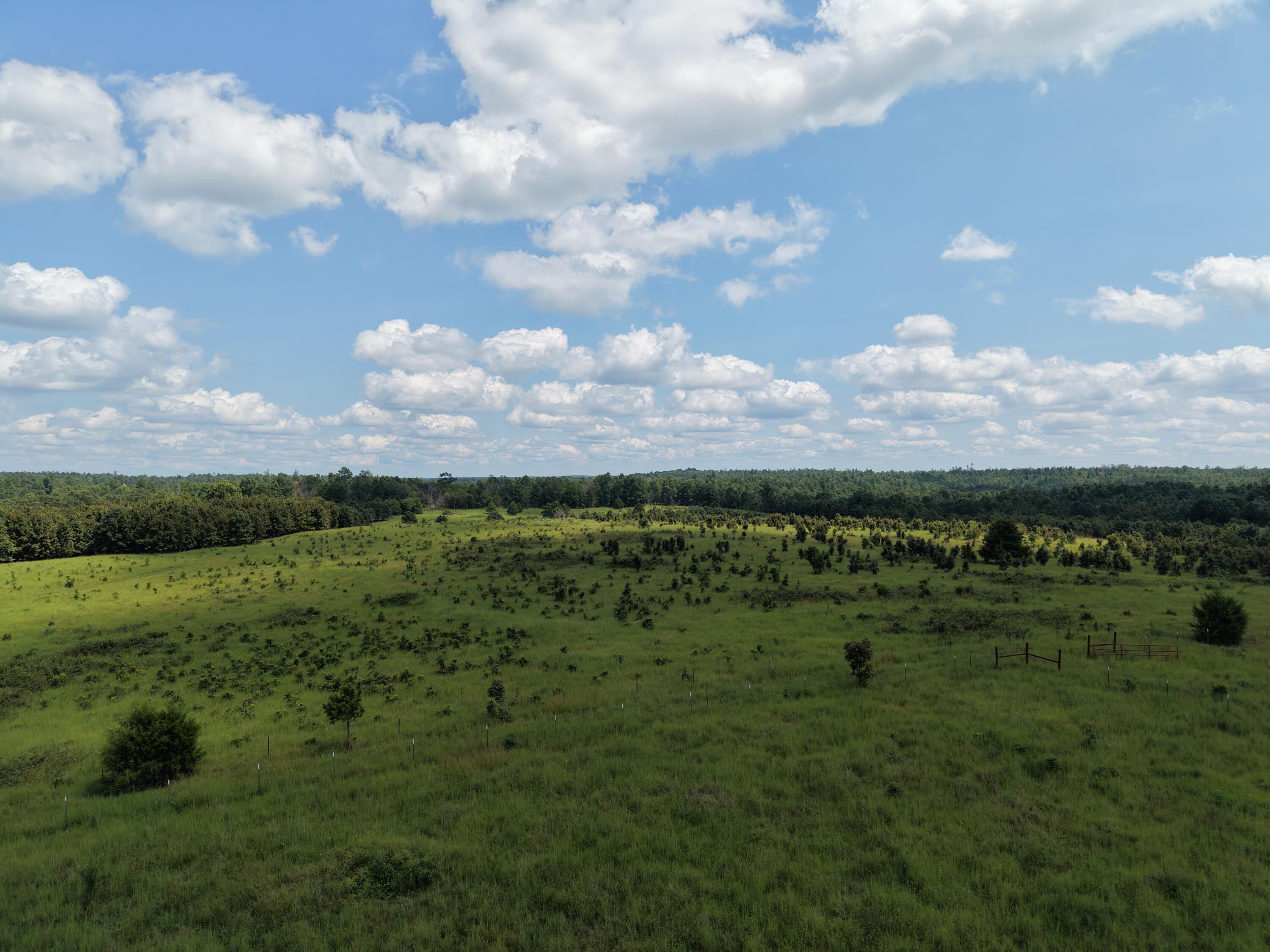Photo 7 - Farm for sale – 2285  County Road 437-B   Mountain View, MO