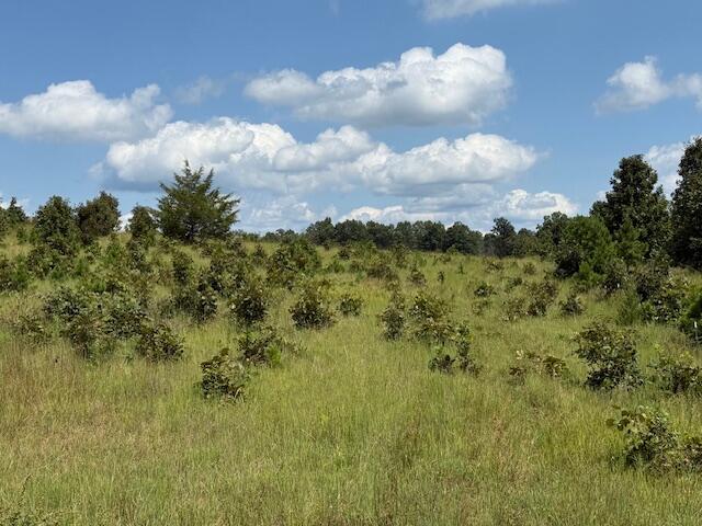 Photo 28 - Farm for sale – 2285  County Road 437-B   Mountain View, MO