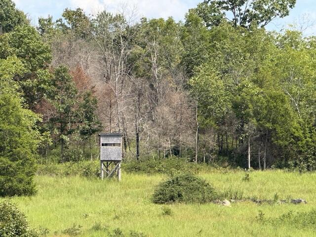 Photo 27 - Farm for sale – 2285  County Road 437-B   Mountain View, MO