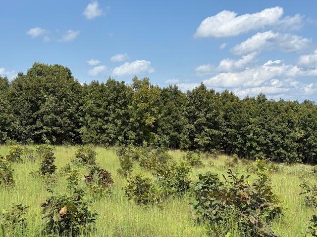 Photo 32 - Farm for sale – 2285  County Road 437-B   Mountain View, MO
