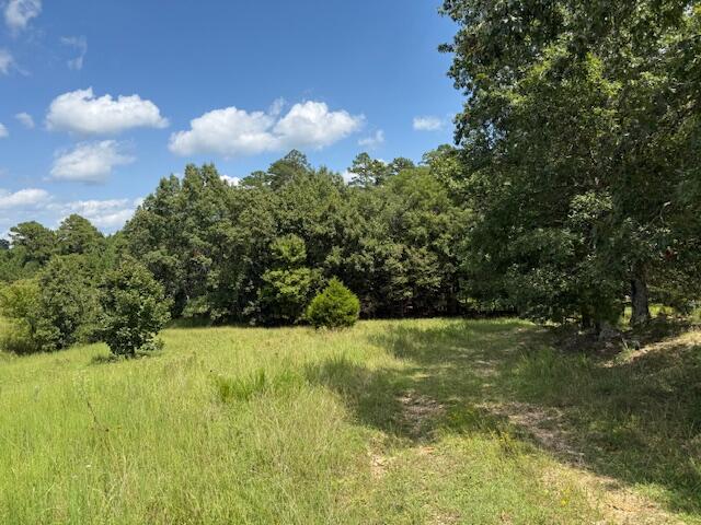 Photo 10 - Farm for sale – 2285  County Road 437-B   Mountain View, MO