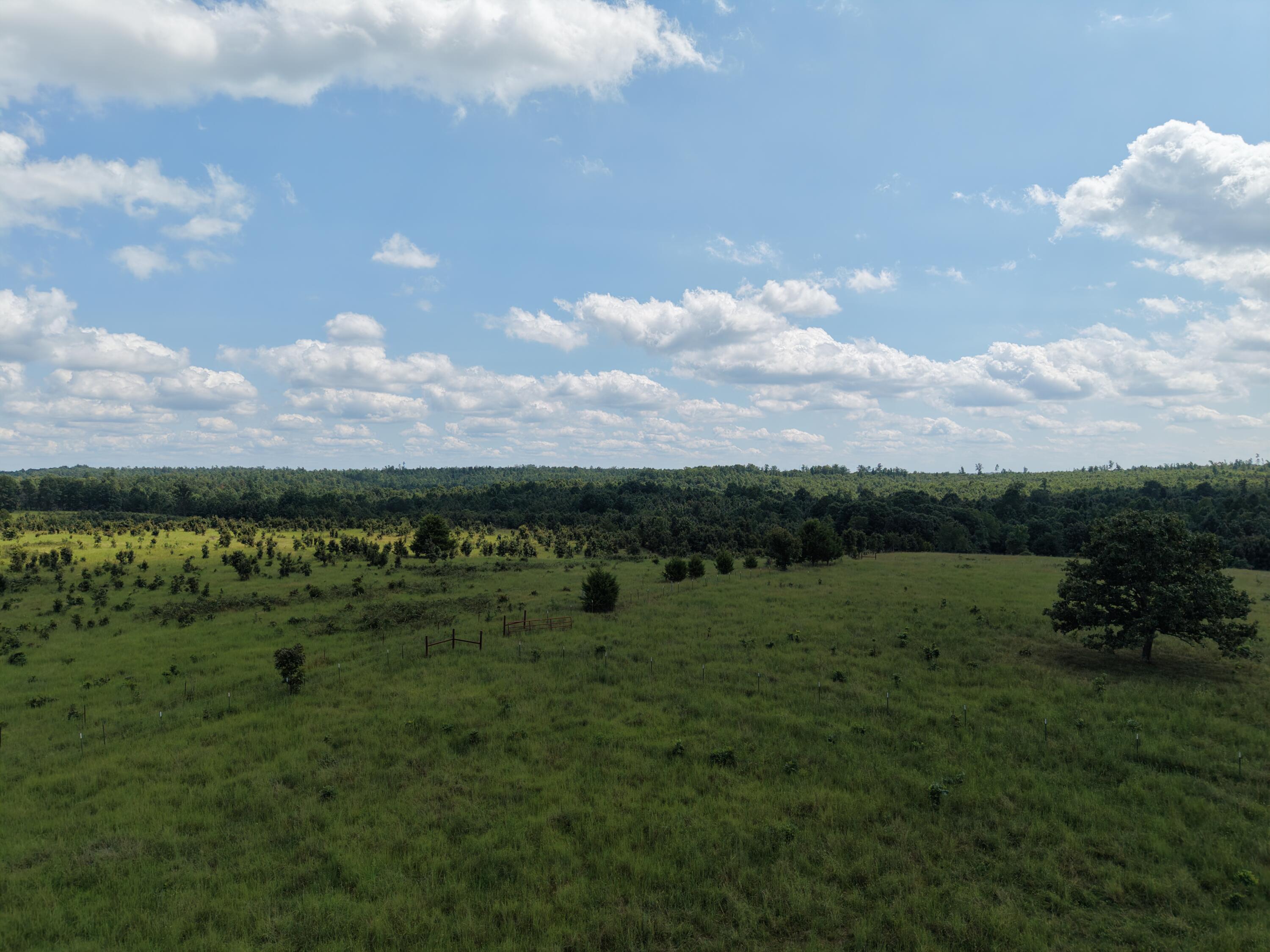 Photo 45 - Farm for sale – 2285  County Road 437-B   Mountain View, MO