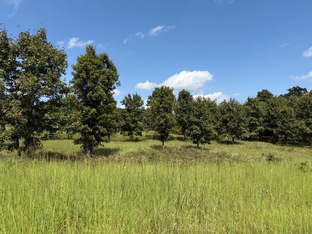 Photo 37 - Farm for sale – 2285  County Road 437-B   Mountain View, MO