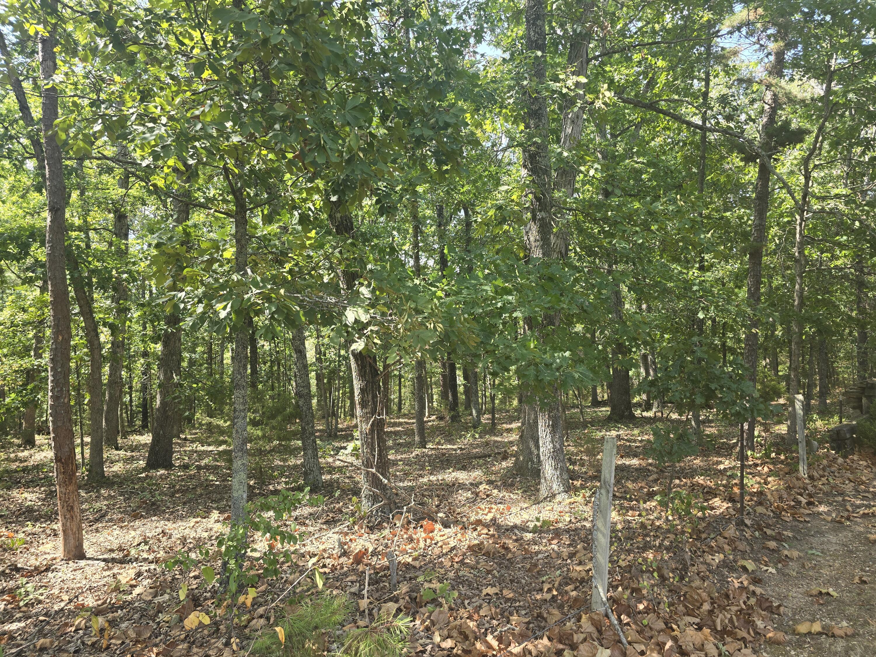 Photo 6 - Land for sale – 000 Minera  Mineral Drive  Houston, MO
