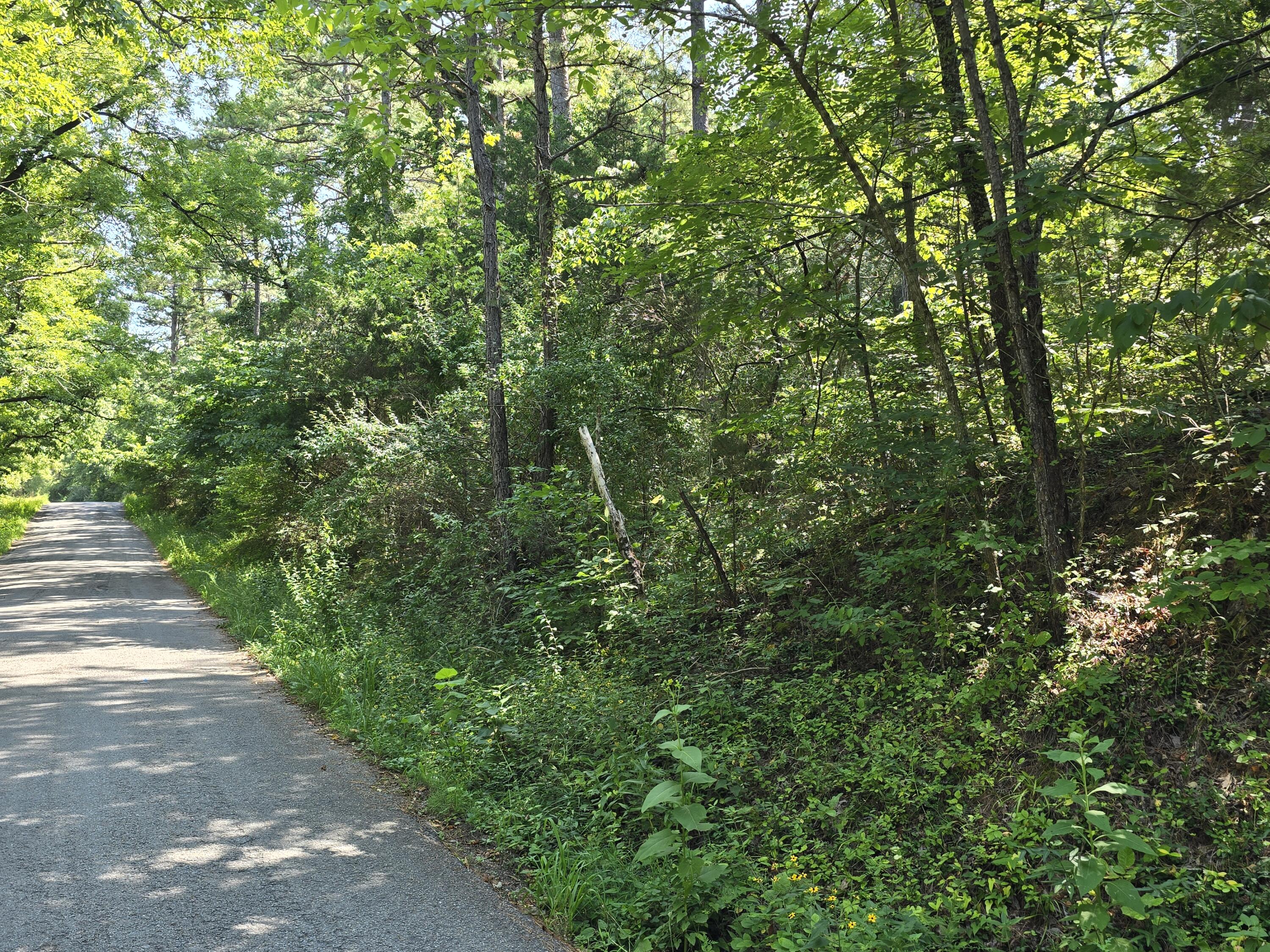 Photo 8 - Land for sale – 000 Minera  Mineral Drive  Houston, MO