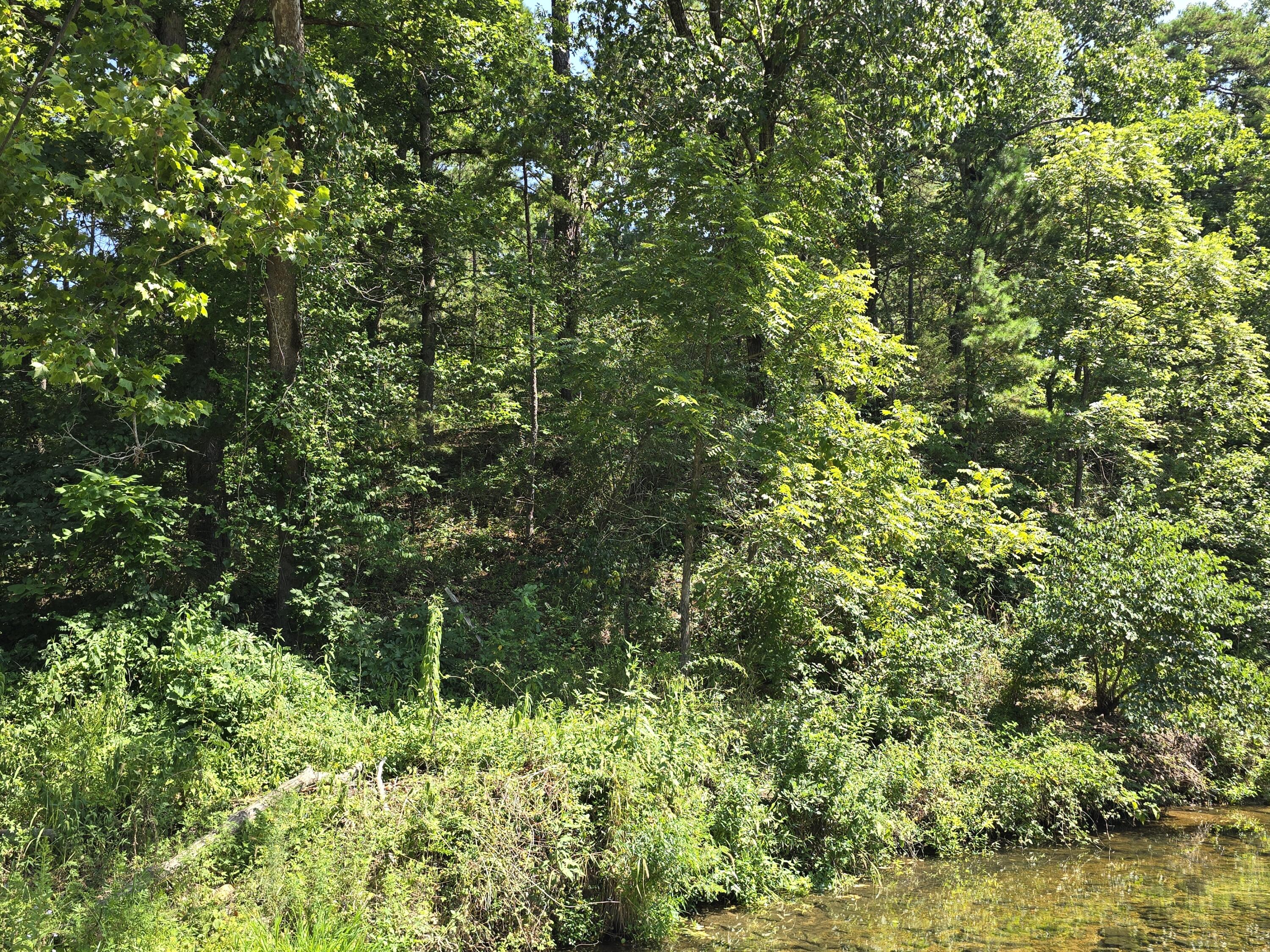Land for sale – 000 Minera  Mineral Drive  Houston, MO