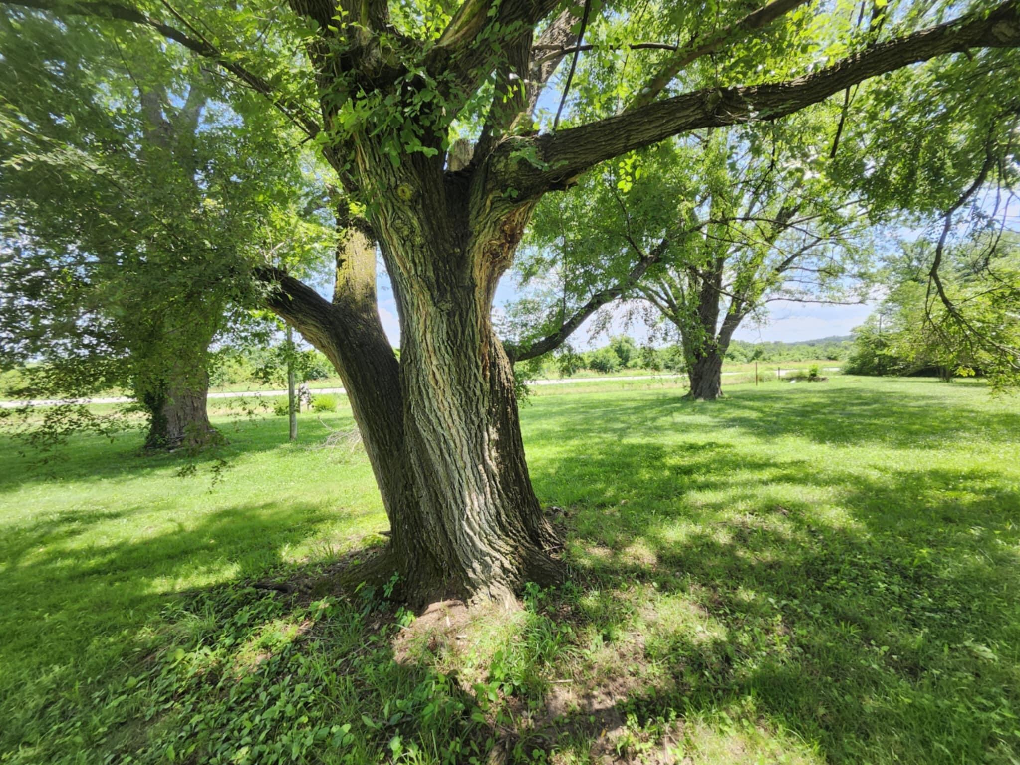 Photo 14 - Commercial Sale for sale – Tbd  Highway 63   Cabool, MO
