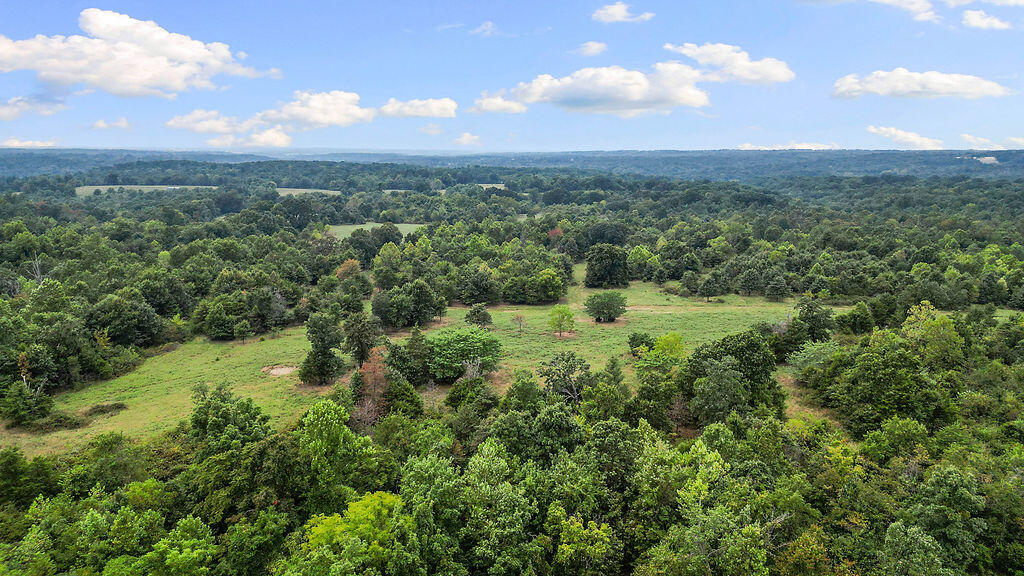 Photo 4 - Residential for sale – 4365  Farm Road 2290   Seligman, MO