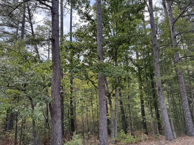 Photo 6 - Land for sale – 000  Texas Tower Road  Licking, MO