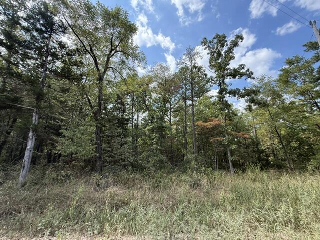 Photo 3 - Land for sale – 000  Texas Tower Road  Licking, MO