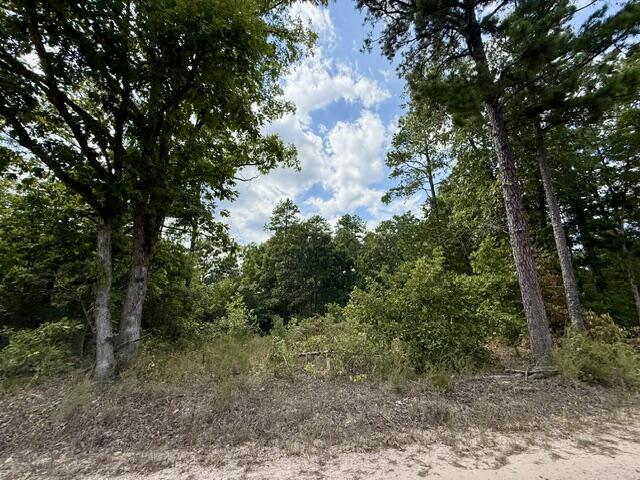 Photo 4 - Land for sale – 000  Texas Tower Road  Licking, MO