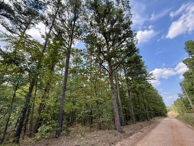 Photo 7 - Land for sale – 000  Texas Tower Road  Licking, MO