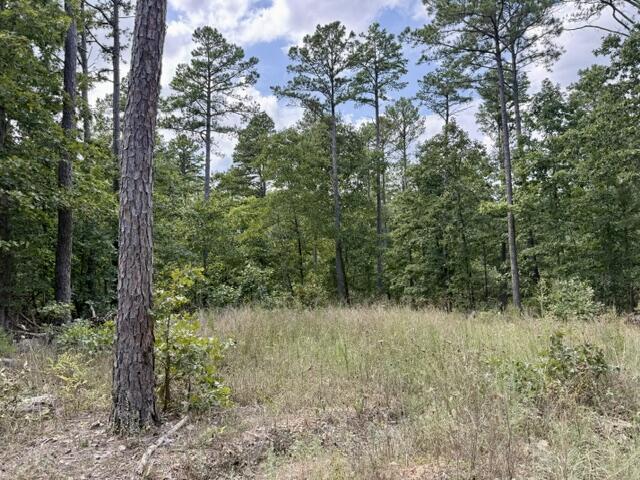 Photo 2 - Land for sale – 000  Texas Tower Road  Licking, MO