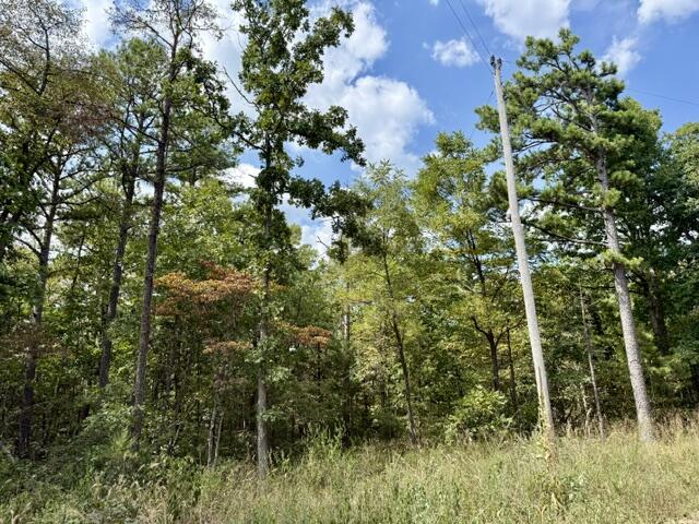 Land for sale – 000  Texas Tower Road  Licking, MO