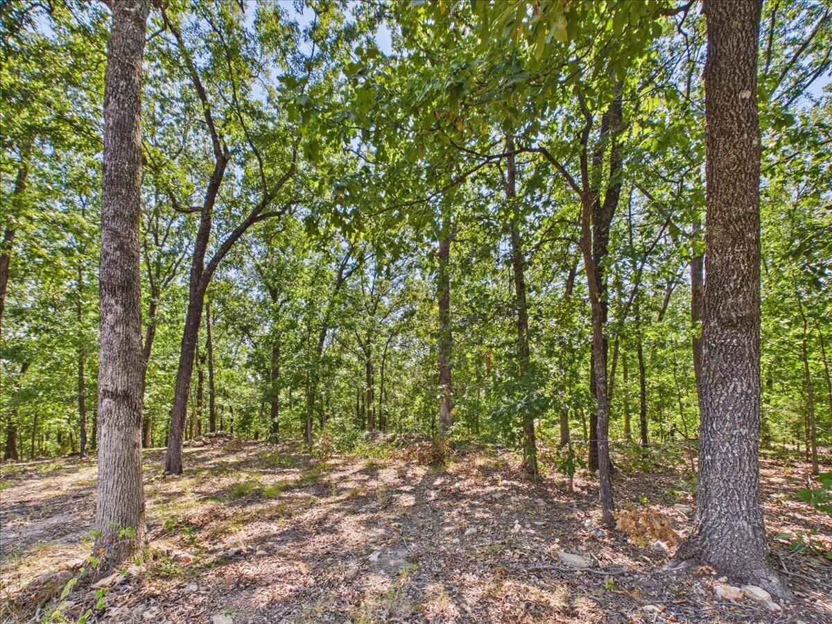 Photo 5 - Land for sale – 000  Wild Turkey Run   Urbana, MO