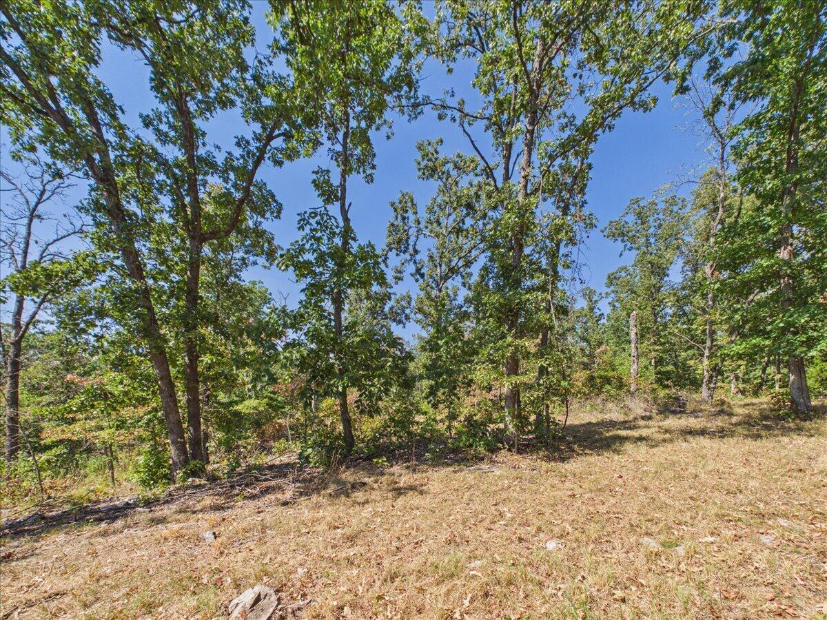Photo 24 - Land for sale – 000  Wild Turkey Run   Urbana, MO