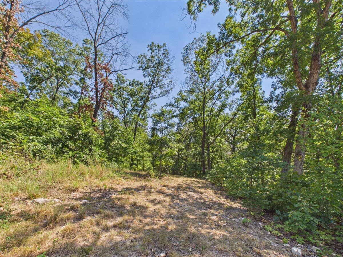 Photo 14 - Land for sale – 000  Wild Turkey Run   Urbana, MO