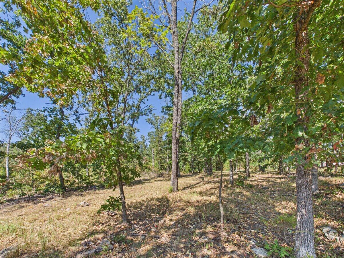 Photo 25 - Land for sale – 000  Wild Turkey Run   Urbana, MO
