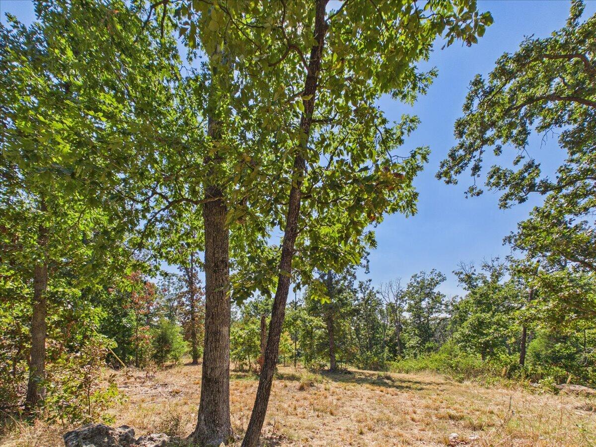 Photo 21 - Land for sale – 000  Wild Turkey Run   Urbana, MO
