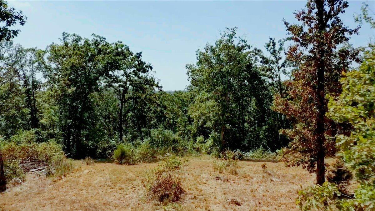 Photo 33 - Land for sale – 000  Wild Turkey Run   Urbana, MO
