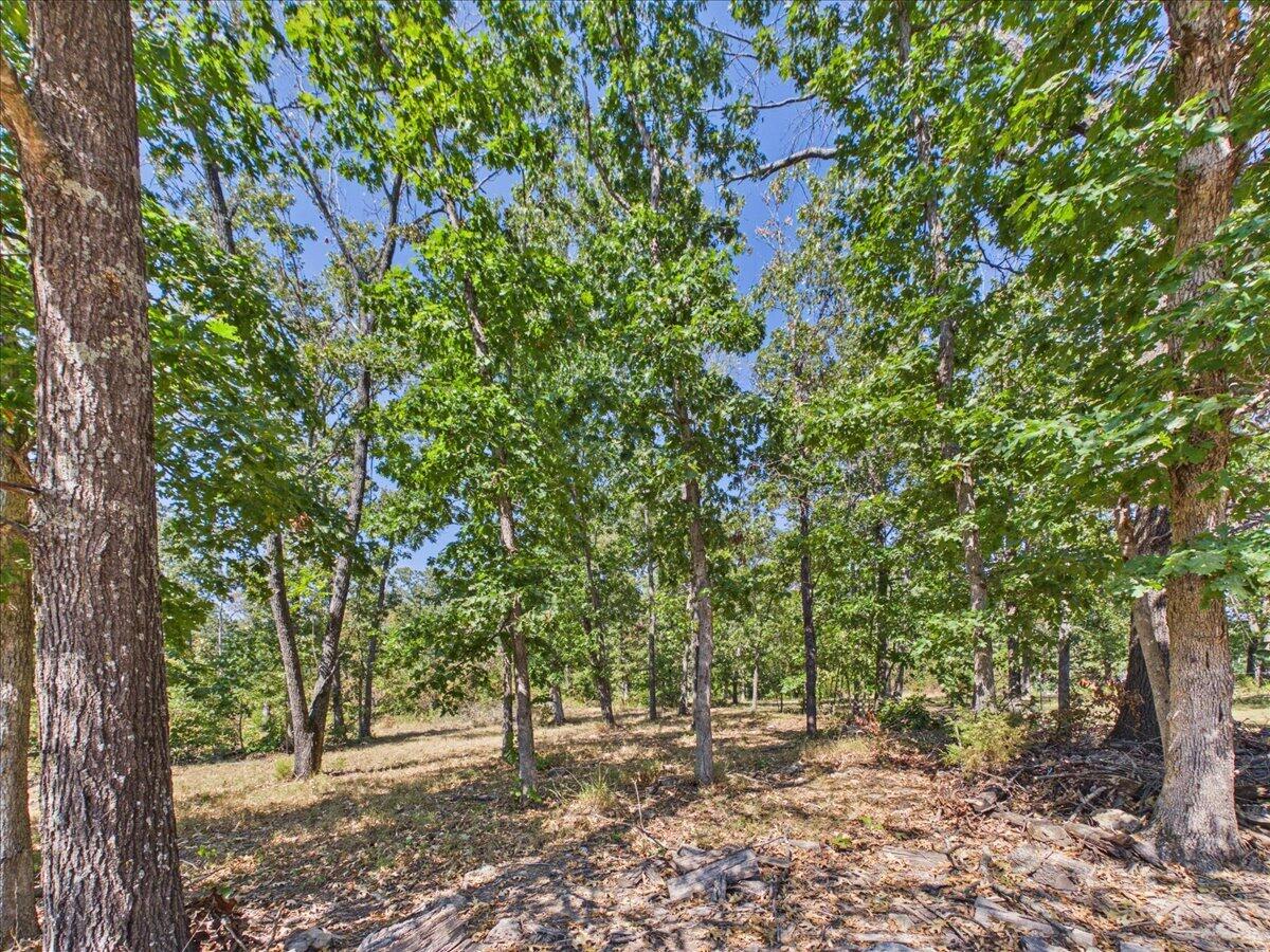 Photo 26 - Land for sale – 000  Wild Turkey Run   Urbana, MO