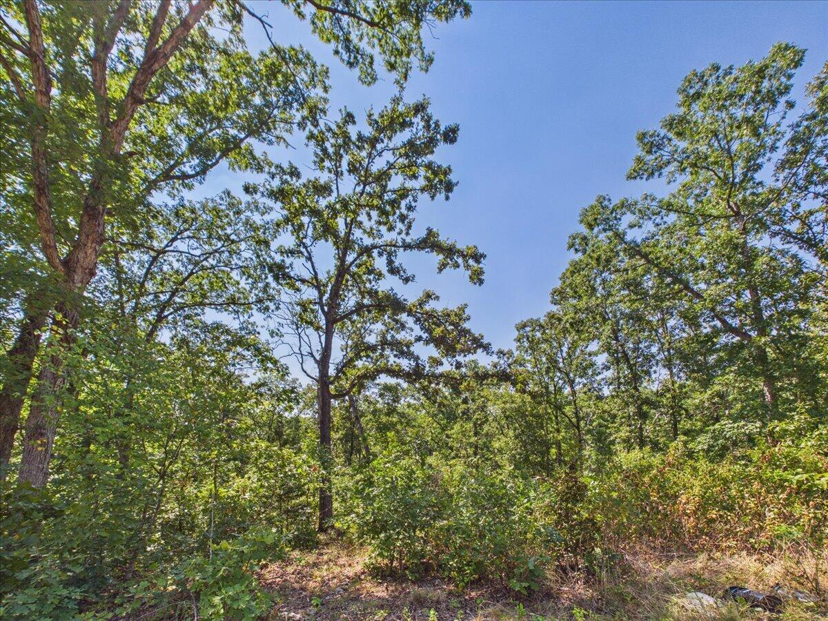 Photo 11 - Land for sale – 000  Wild Turkey Run   Urbana, MO