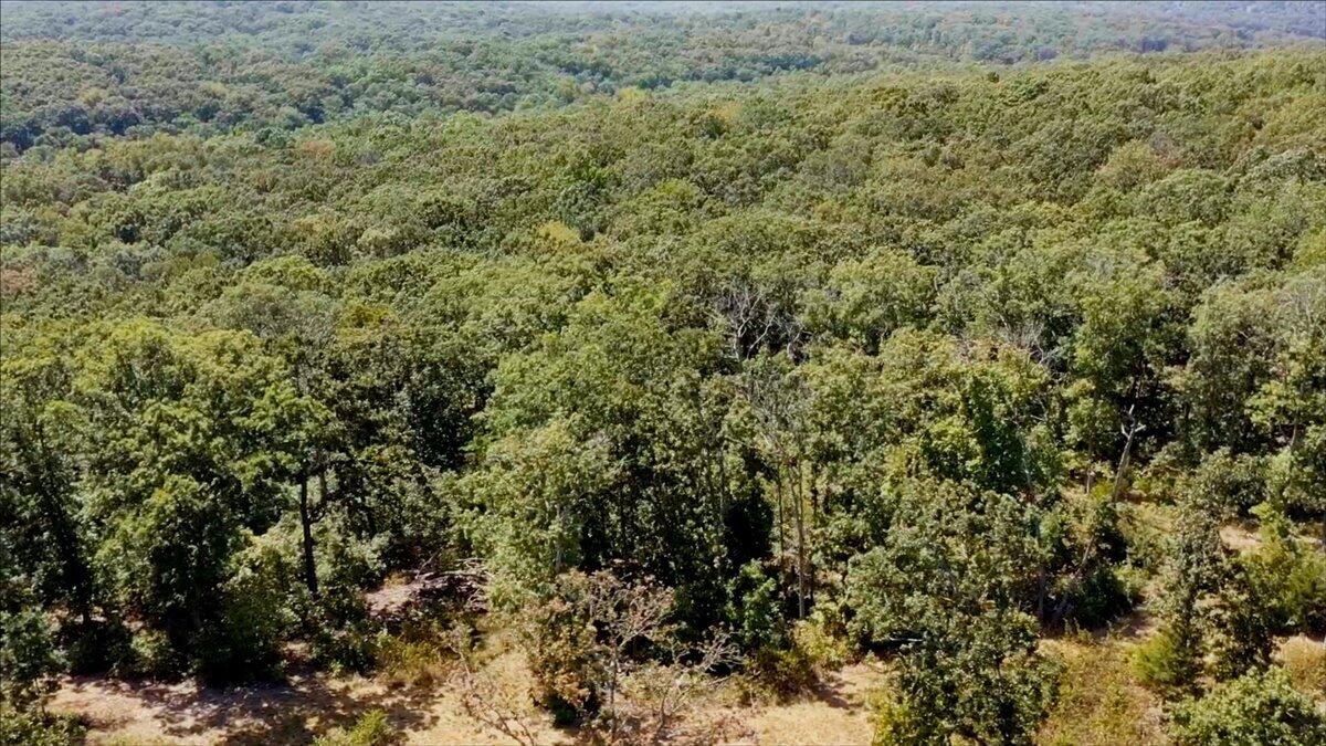 Photo 32 - Land for sale – 000  Wild Turkey Run   Urbana, MO