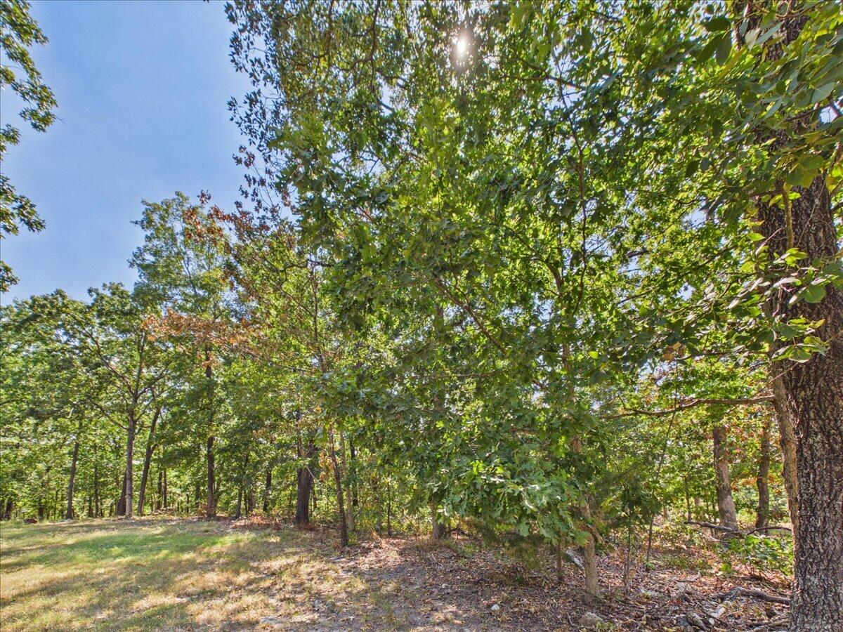 Photo 7 - Land for sale – 000  Wild Turkey Run   Urbana, MO