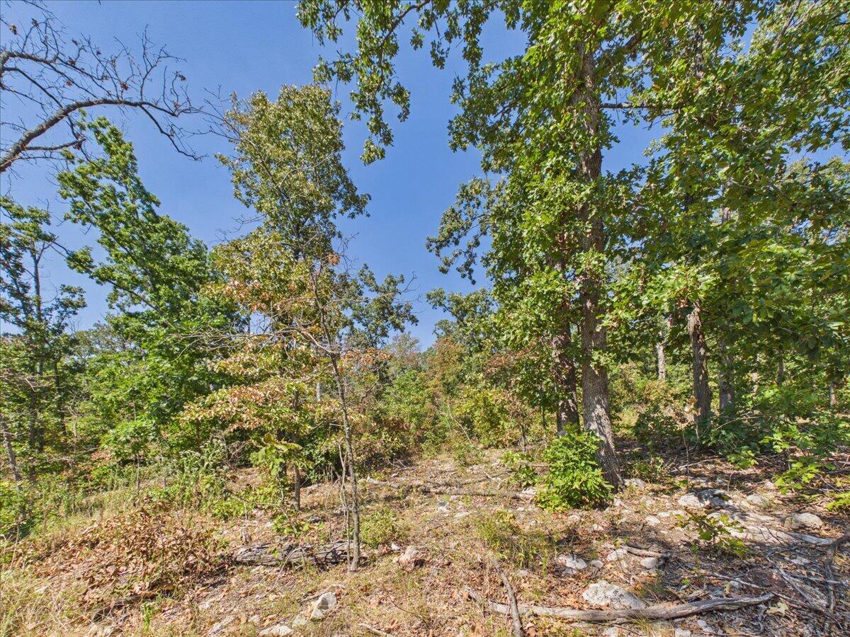 Photo 22 - Land for sale – 000  Wild Turkey Run   Urbana, MO