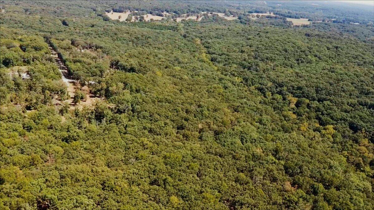 Photo 30 - Land for sale – 000  Wild Turkey Run   Urbana, MO