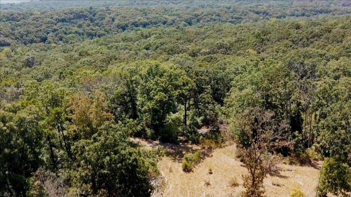 Photo 31 - Land for sale – 000  Wild Turkey Run   Urbana, MO