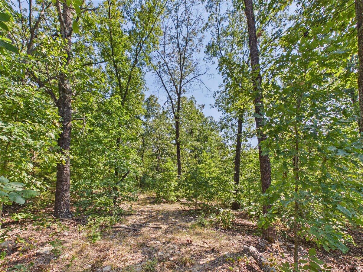 Photo 15 - Land for sale – 000  Wild Turkey Run   Urbana, MO