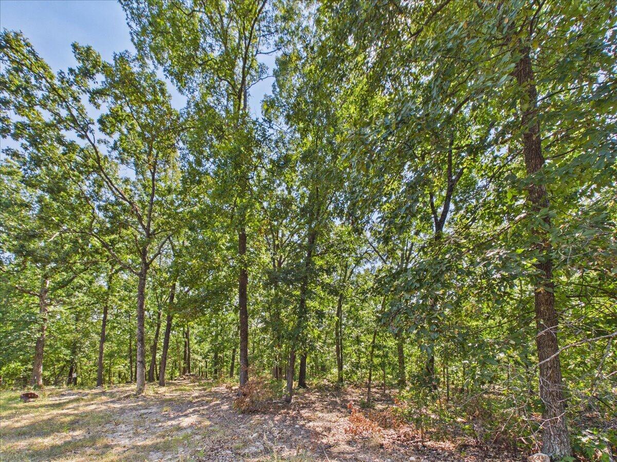 Photo 6 - Land for sale – 000  Wild Turkey Run   Urbana, MO