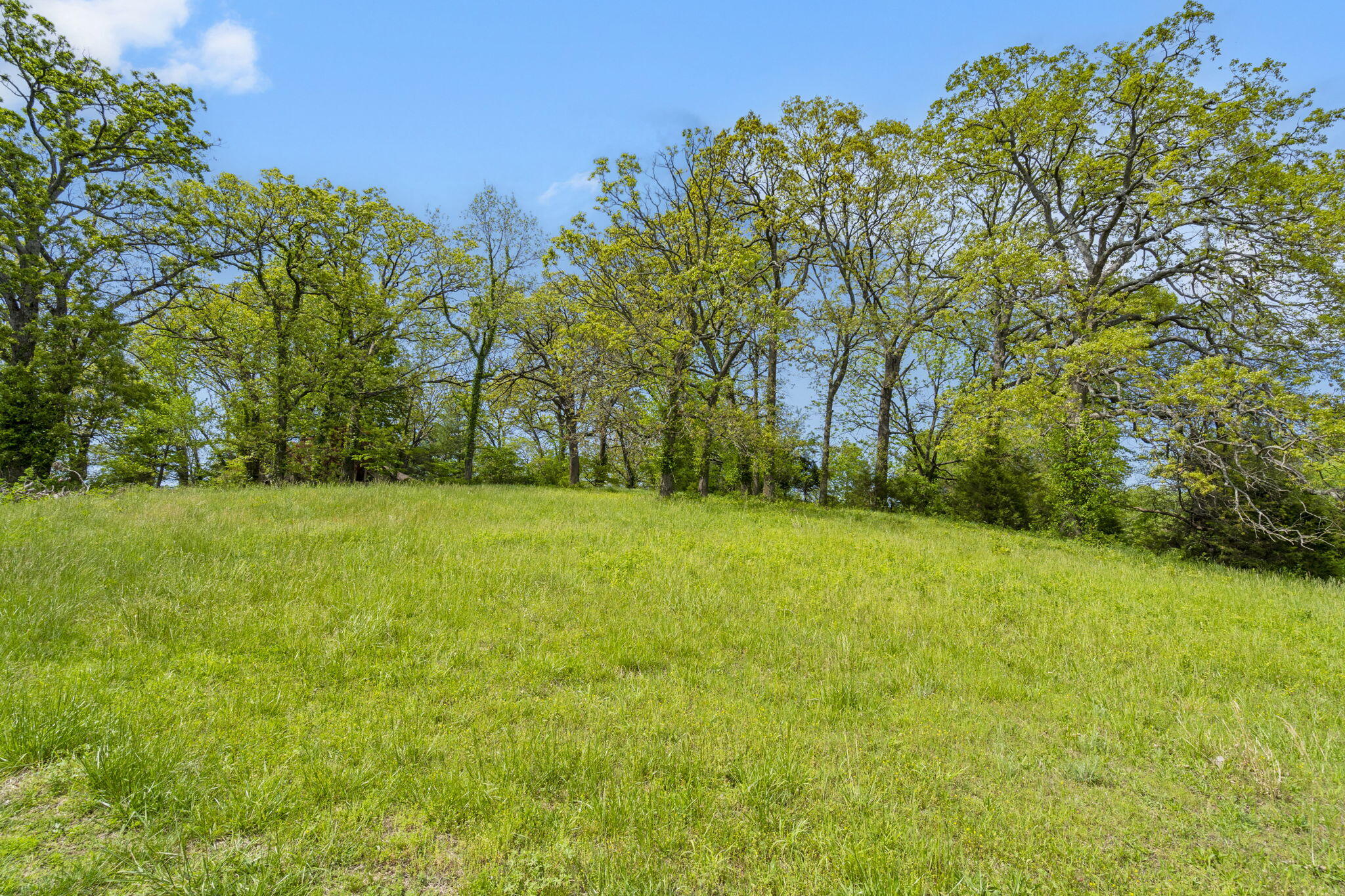 Photo 9 - Land for sale – 809 N 9th Street  Ozark, MO