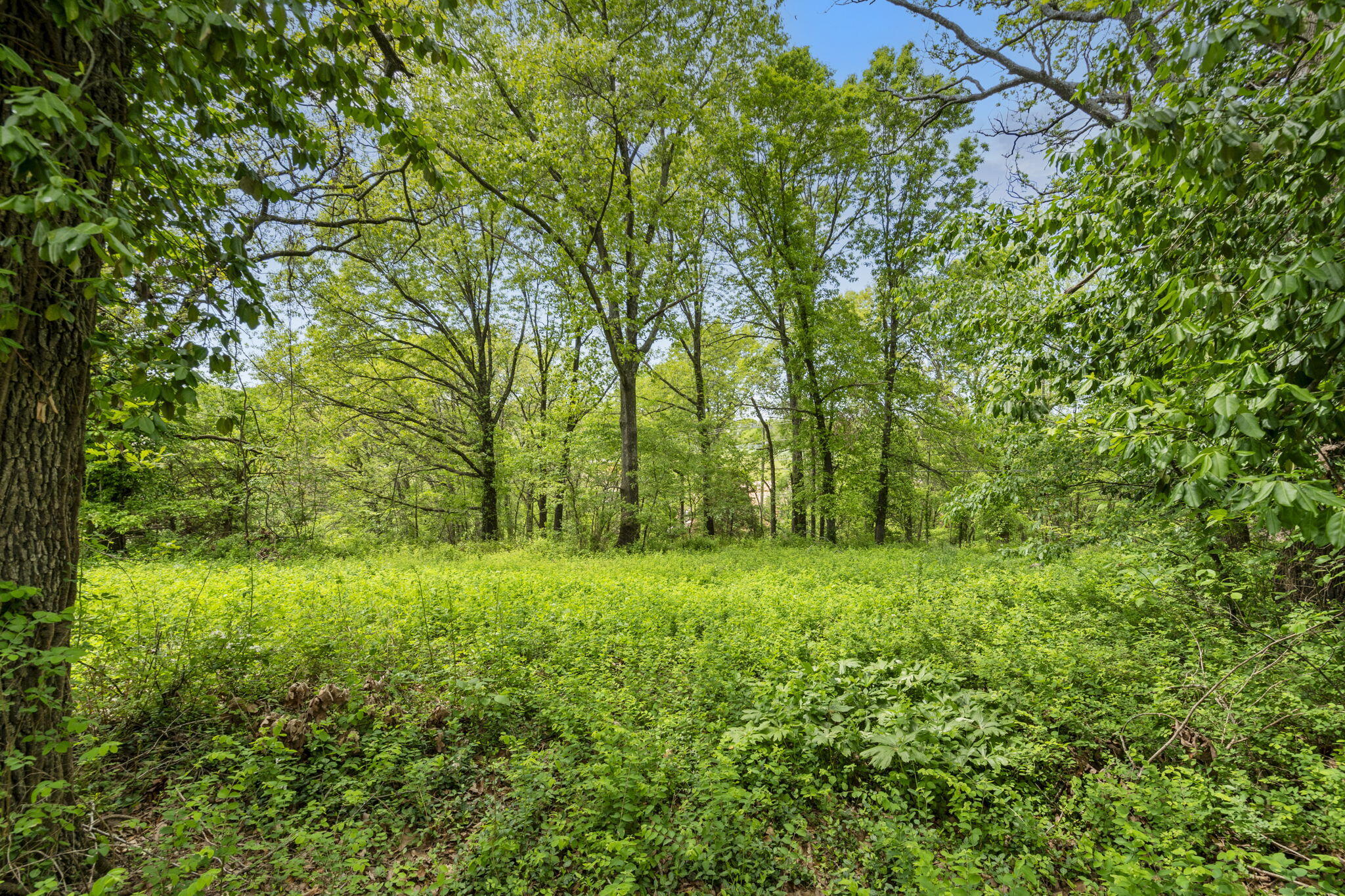 Photo 11 - Land for sale – 809 N 9th Street  Ozark, MO