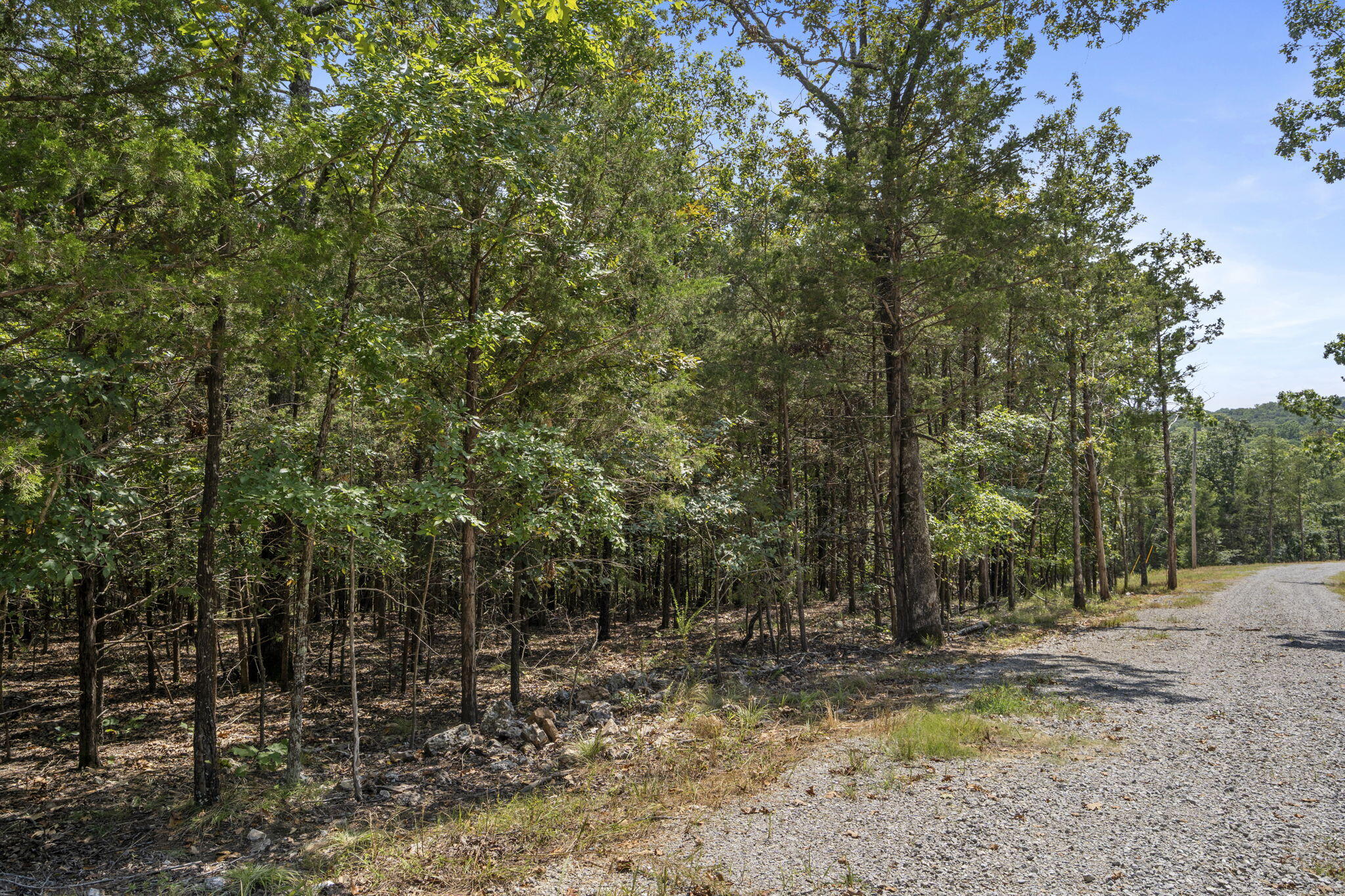 Photo 7 - Land for sale – Lot 3  Cedar Bluff Lane  Shell Knob, MO