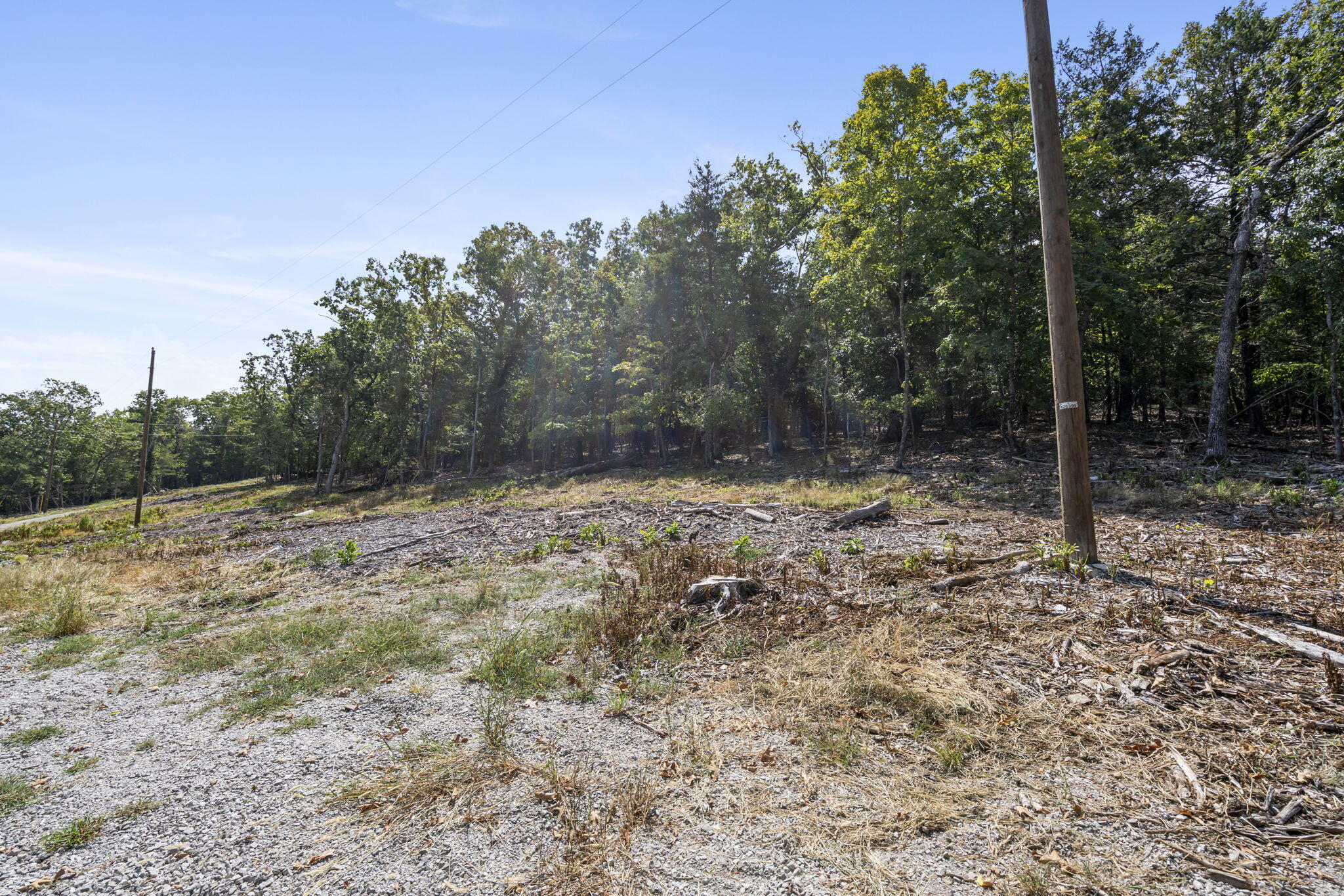 Photo 9 - Land for sale – Lot 4  Cedar Bluff Lane  Shell Knob, MO