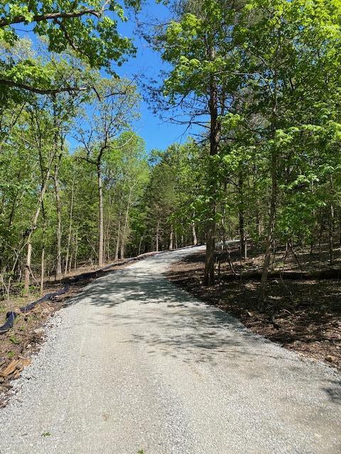Photo 12 - Land for sale – Lot 4  Cedar Bluff Lane  Shell Knob, MO