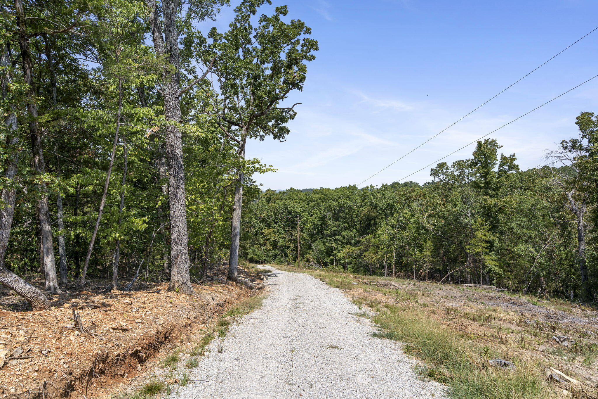 Photo 2 - Land for sale – Lot 4  Cedar Bluff Lane  Shell Knob, MO