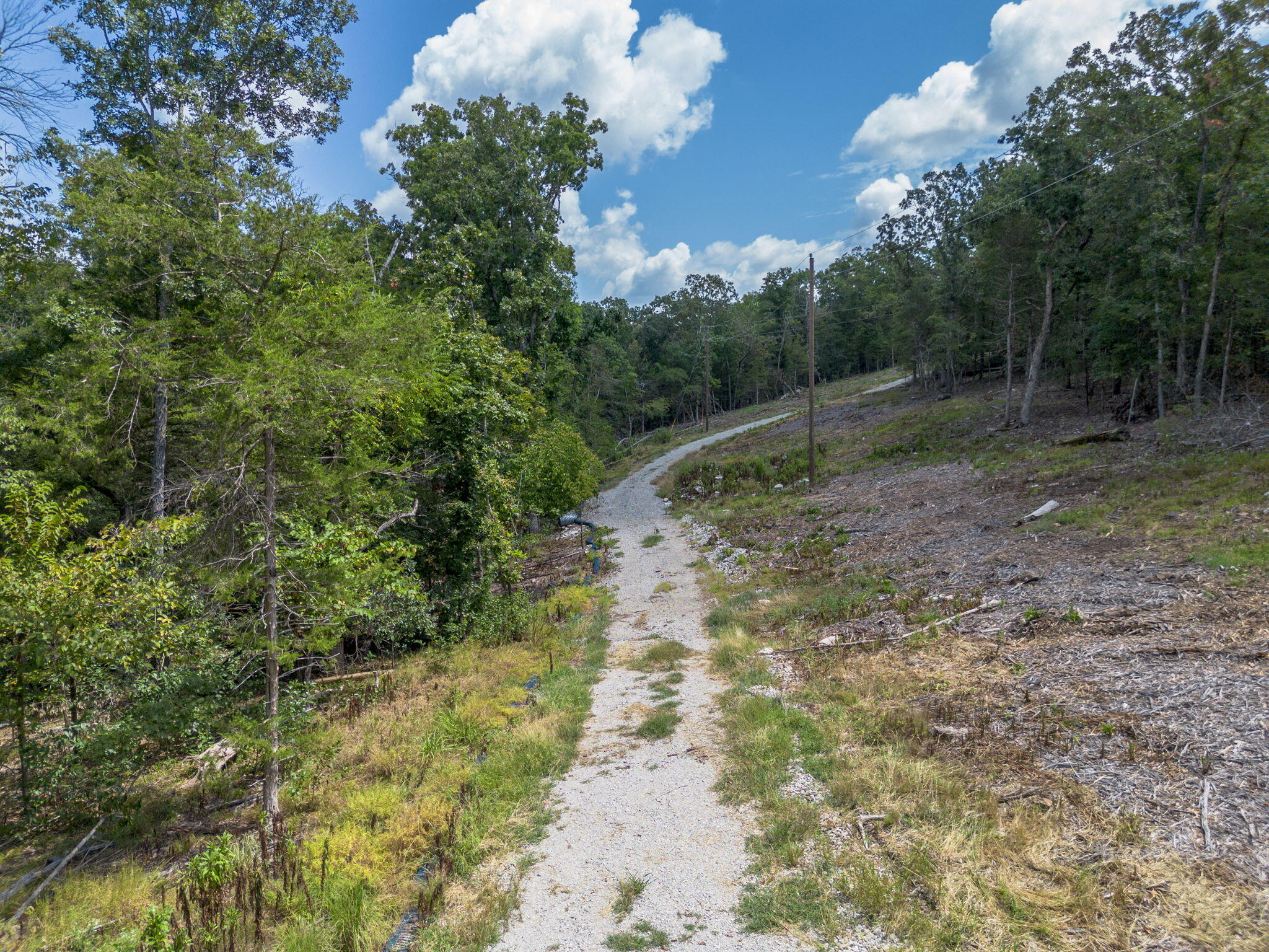 Photo 7 - Land for sale – Lot 4  Cedar Bluff Lane  Shell Knob, MO