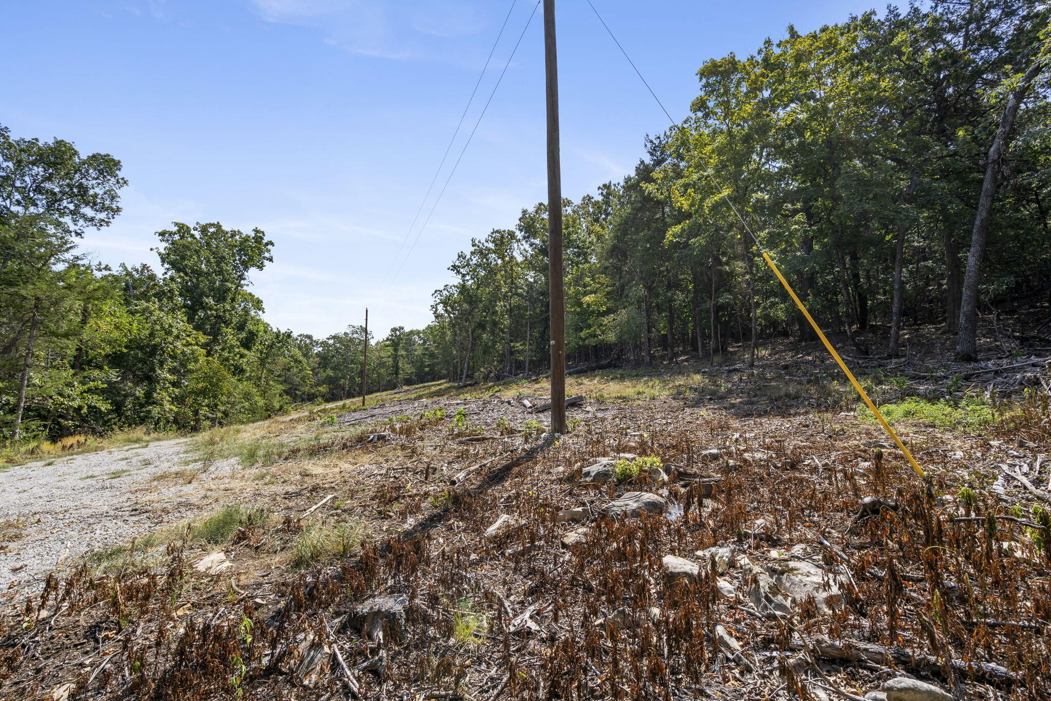 Photo 8 - Land for sale – Lot 4  Cedar Bluff Lane  Shell Knob, MO