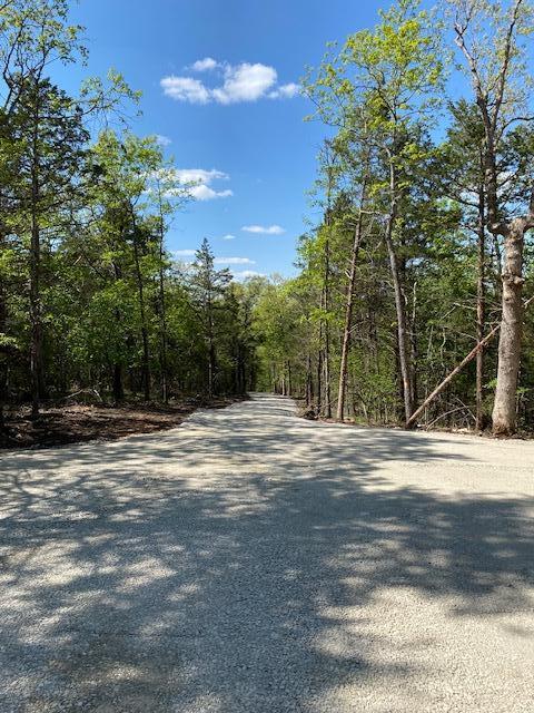 Photo 16 - Land for sale – Lot 4  Cedar Bluff Lane  Shell Knob, MO